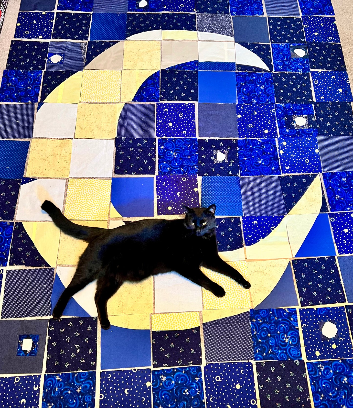 a work in progress, laying out the squares of the quilt, but a black cat lays across the pieces