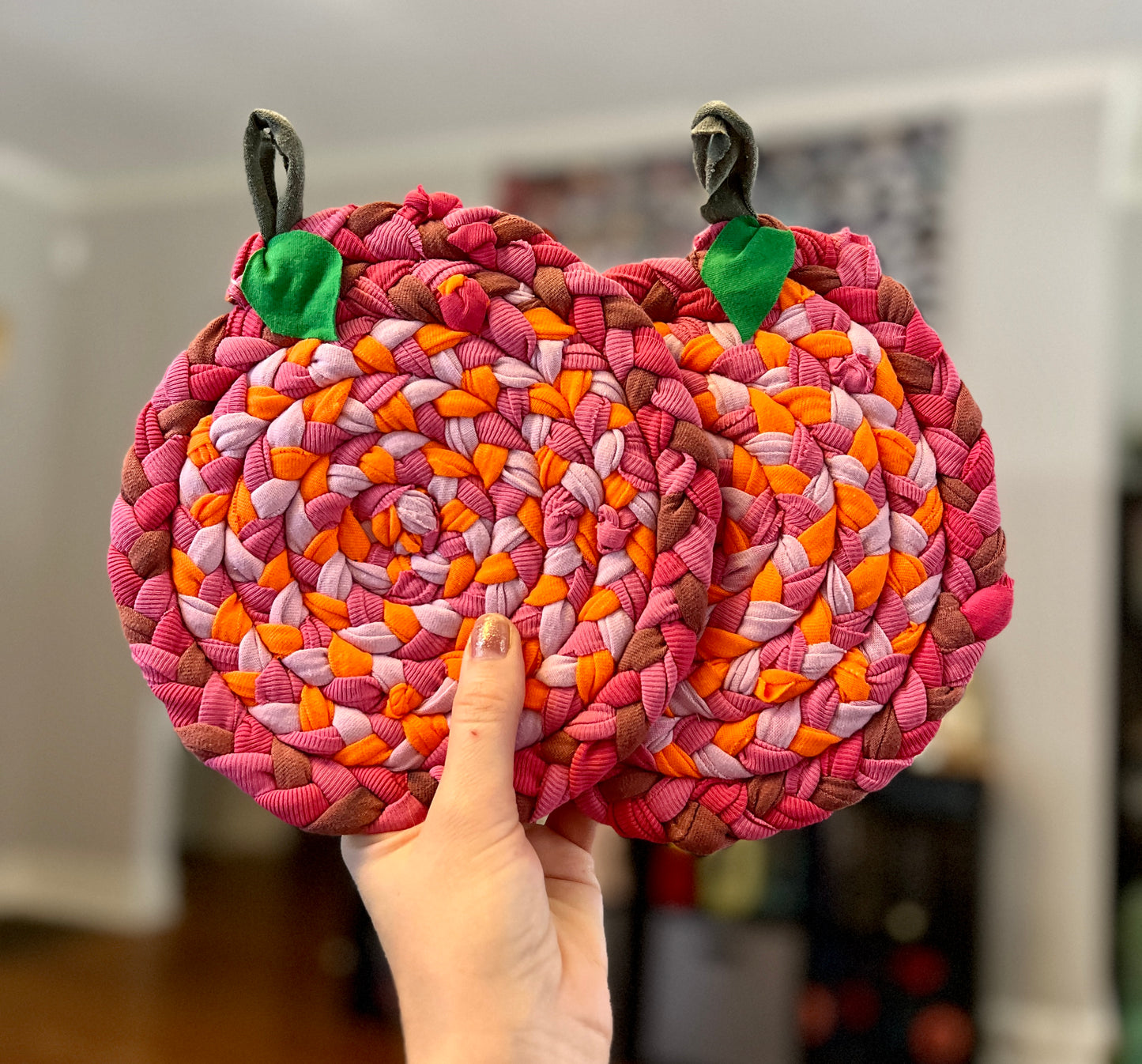 Trivet Potholders - Fruit Collection - Handbraided & Handsewn - Set of Two