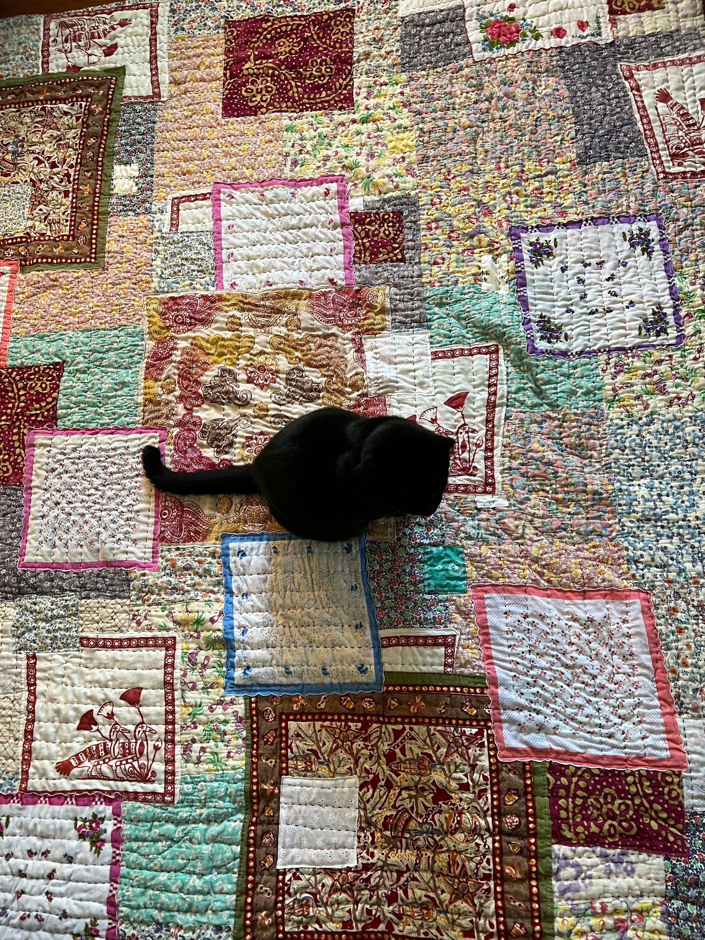 aerial view of kantha feedsack quilt. a black cat is in the middle of quilt