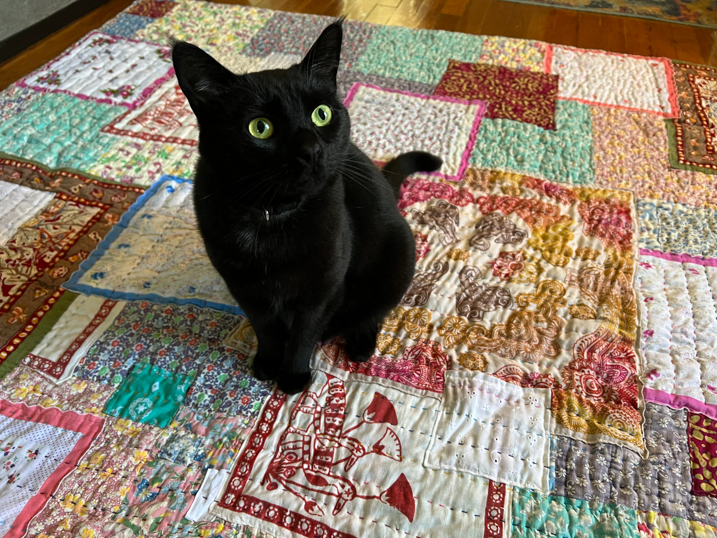 a black cat sits on top of the quilt, he is obviously enjoying the comfort of this vintage quilt