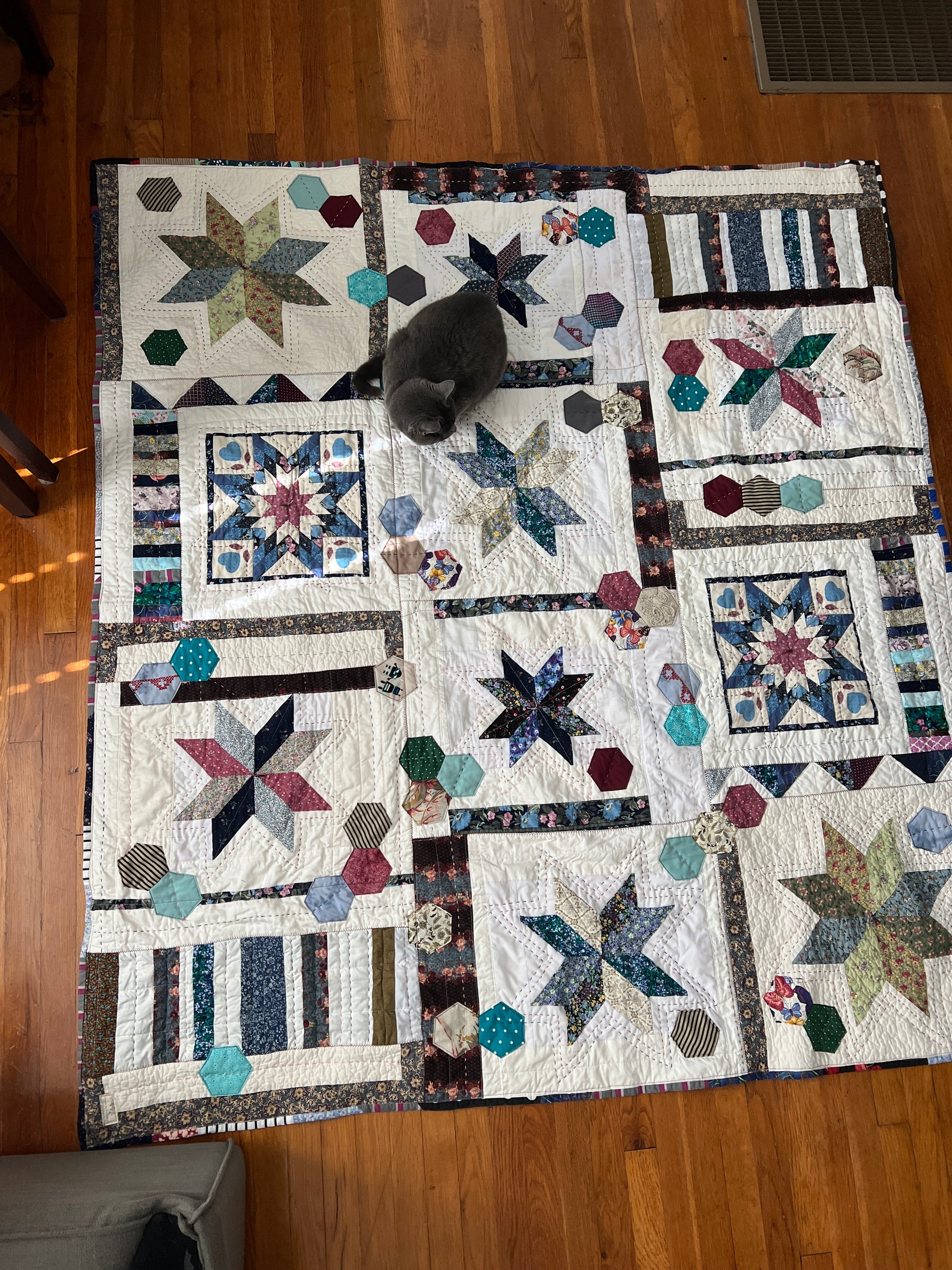 A quilt with eight point stars and quilted hexies, on a wood floor with a grey cat on top, sun shining in through the shades